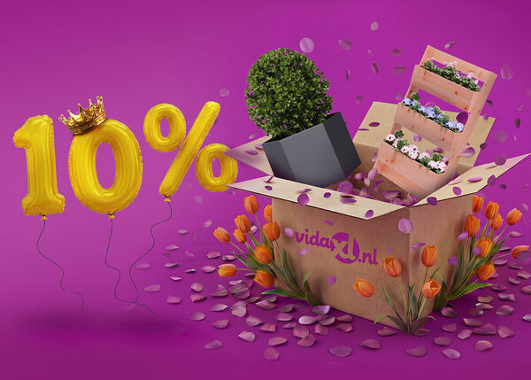 Geopende vidaXL-doos met een metalen en een houten plantenbak die eruit springen, omringd door tulpen en paarse bloemblaadjes. Gele ballonnen tonen een korting van 10% met een koningskroon erbovenop. 