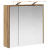 vidaXL Badkamer spiegelkast Ambachtelijk eiken 63,5 x 16 x 62,5 cm