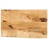 vidaXL Tafelblad met natuurlijke rand 60x40x3,8 cm massief mangohout