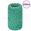 vidaXL Boottouw 2 mm 250 m polypropyleen groen