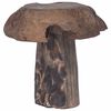vidaXL Kruk Naturel 35 x 35 x 35 cm Massief Teakhout