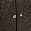 vidaXL Opbergkast met opslag Bruin 100 x 36 x 102 cm Rattan
