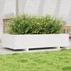 vidaXL Plantenbak 110x60x26,5 cm massief grenenhout wit