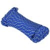 vidaXL Multifunctioneel gebruikstouw 5 mm 100 m Blauw PP