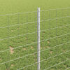 Miniatuurafbeelding van het product 4 van 7