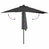 vidaXL Tuinparasol Zwart 294 x 150 x 223 cm Polyester en staal