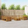 vidaXL Sofa-Sets 10 pcs Naturel Massief Acaciahout