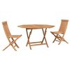 vidaXL Tuin Bistro Set 3 st Naturel Massief Teakhout