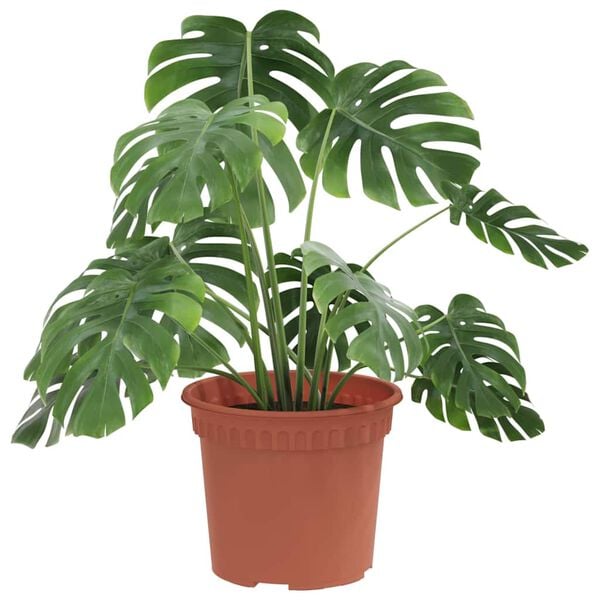 vidaXL Ronde Bloempot 6 pcs Baksteenrood &Oslash; 12,5 x 10 cm Kunststof