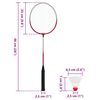 vidaXL Badmintonset met 4 rackets en net 620x151 cm