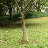 Miniatuurafbeelding van het product 2 van 7