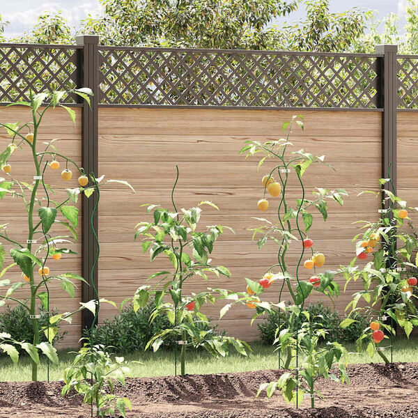 Productafbeelding 2 van 11