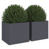 Miniatuurafbeelding van het product 4 van 11