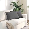 vidaXL Sofa Kussens 2 stuks Donkergrijs 60 x 40 cm Stof