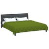 vidaXL Zomer Dekbed Groen 220 x 260 cm Microfiber