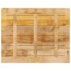 vidaXL Tafelblad rechthoekig 100x80x3,8 cm massief ruw mangohout