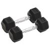 vidaXL Halters 2 st 4 kg totaal gietijzer