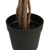 Miniatuurafbeelding van het product 3 van 5