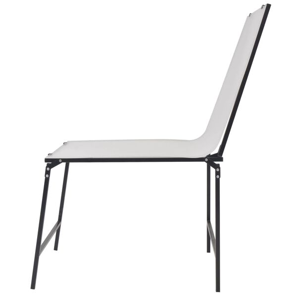 vidaXL Fotostudio opnametafel inklapbaar 61x110 cm