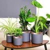 Miniatuurafbeelding van het product 2 van 7