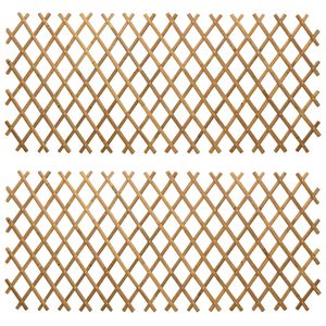 vidaXL Uitvouwbare Trellis Fence 2 st 100 x 105 cm Bamboe Licht Bruin