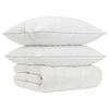 vidaXL 90% ganzen dons dekbedset FULDA 3 st 200 x 240 cm 210 GSM Wit