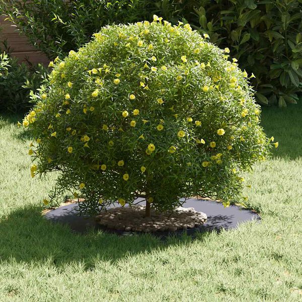 vidaXL geschikt voor platte boomringen 5 pcs Antraciet &Oslash;30 / 60 cm Staal