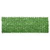 vidaXL Balkonscherm met groene bladeren 300x100 cm