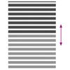 vidaXL Zebra rolgordijn 160x230 cm stofbreedte 155,9 cm zwart