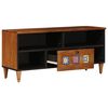 vidaXL TV-kast Walnotenhout 100 x 33 x 46 cm Massief Mango Hout