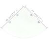 vidaXL Hoekschappen 2 st met chromen dragers 45x45 cm glas transparant