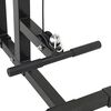 vidaXL Lat pulldown machine Zwart 110 x 70 x 187 cm Gepoedercoat staal