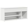 vidaXL Schoenenbank 102x30,5x45 cm bewerkt hout wit