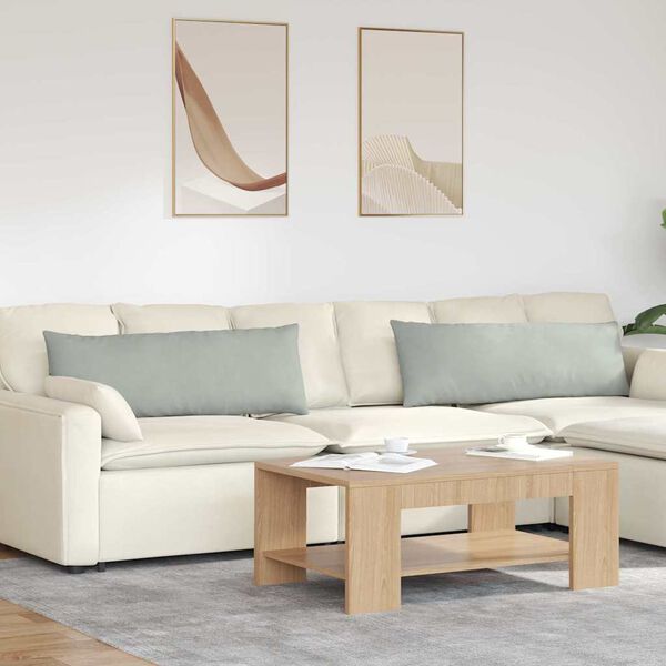 vidaXL Sofa Kussens 2 stuks Lichtgrijs 120 x 40 cm Cordstof