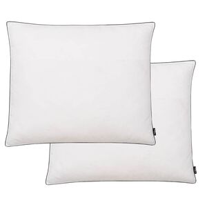 vidaXL Kussens 2 st zwaar 70x60 cm dons-/verenvulling wit