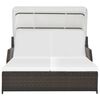 vidaXL Ligbed 2-persoons met luifel poly rattan bruin