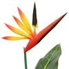 Miniatuurafbeelding van het product 5 van 6