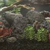 Miniatuurafbeelding van het product 2 van 5