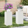 vidaXL Plantenstandaard 2 pcs Wit 24 x 24 x 55 cm Staal