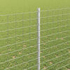 Miniatuurafbeelding van het product 4 van 8