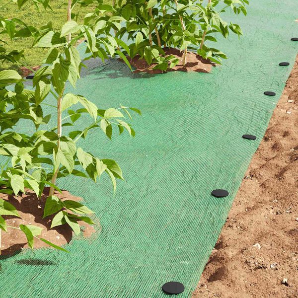 vidaXL Plastic Pennen 500 pcs Zwart &Oslash;3 x 11 cm Kunststof