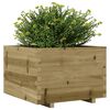 vidaXL Plantenbak 70x70x49,5 cm geïmpregneerd grenenhout