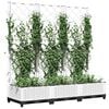 Miniatuurafbeelding van het product 3 van 8