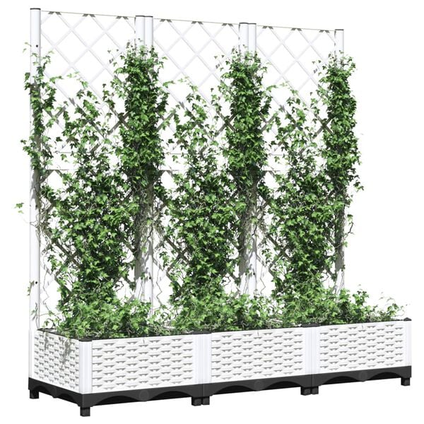 Productafbeelding 3 van 8