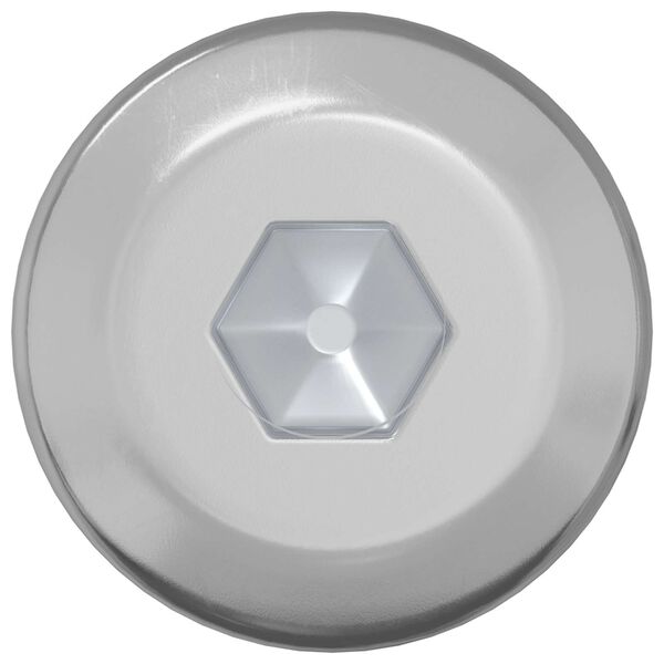 vidaXL Bout 12 pcs Zilver M6 x 120 mm Staal