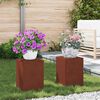 vidaXL Plantenstandaard 2 pcs Roestig 24 x 24 x 35 cm Cortenstaal