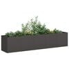 vidaXL Plantenbak Zwart 200x40x40 cm Koudgewalst Staal