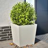 vidaXL Plantenbakken 2 st 50x50x50 cm staal wit