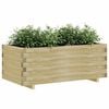 vidaXL Plantenbak verhoogd rechthoekig 100x50x40 cm hout