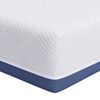 vidaXL Matras Medium stevig 70 x 200 cm Wit en Blauw